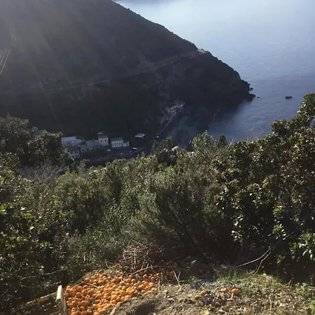 Acqua E Terra 2